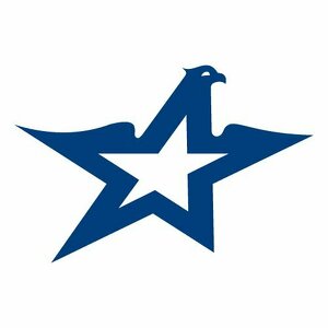 Team Page: Travis Credit Union